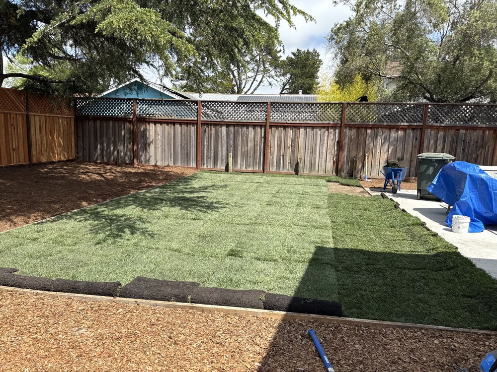 Fresh sod squares being laid in a backyard during installation